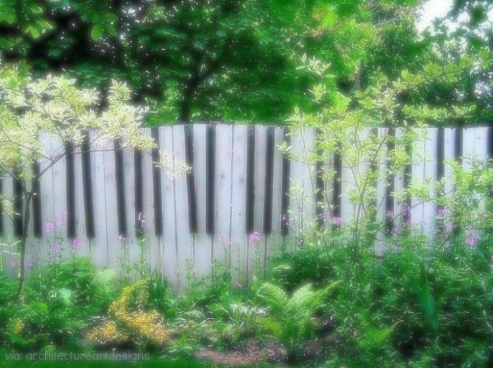 绿色钢琴般的花园