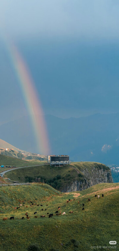 带来好运！！好运彩虹壁纸，遇见彩虹，吃定彩虹，质感风景壁纸，来自网络侵删