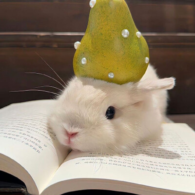 可爱头像·图源微博