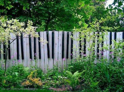 绿色钢琴般的花园