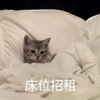 猫猫表情包