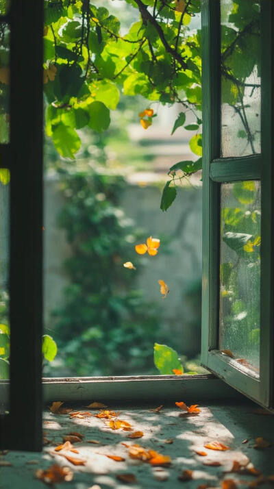 初夏的窗口