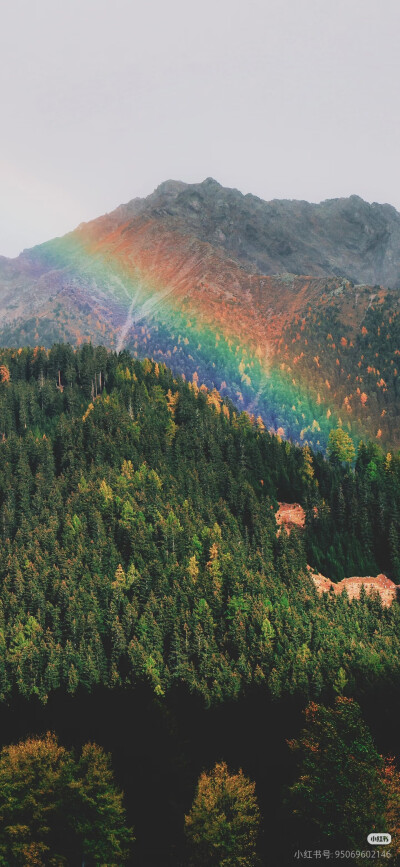 带来好运！！好运彩虹壁纸，遇见彩虹，吃定彩虹，质感风景壁纸，来自网络侵删