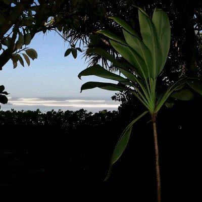 图源ks：偷喝汽水