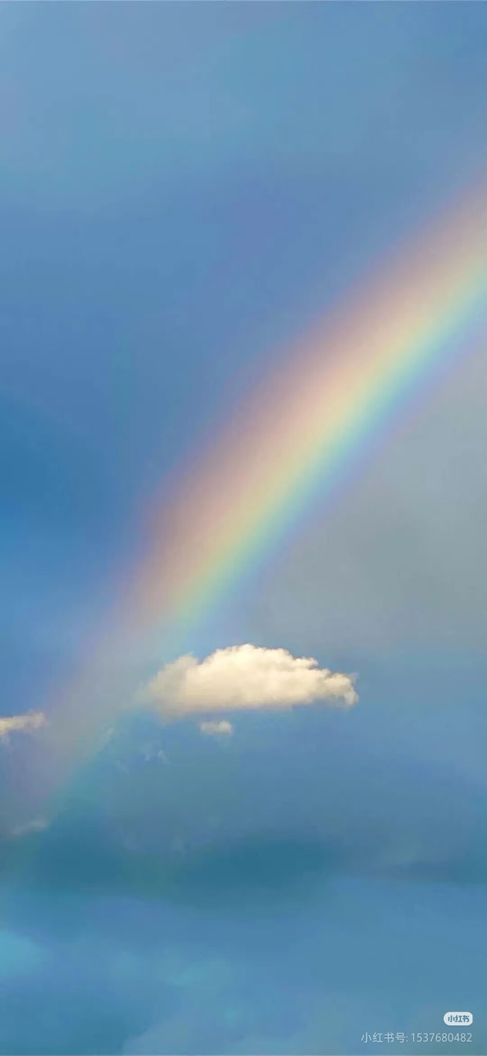 带来好运！！好运彩虹壁纸，遇见彩虹，吃定彩虹，质感风景壁纸，来自网络侵删