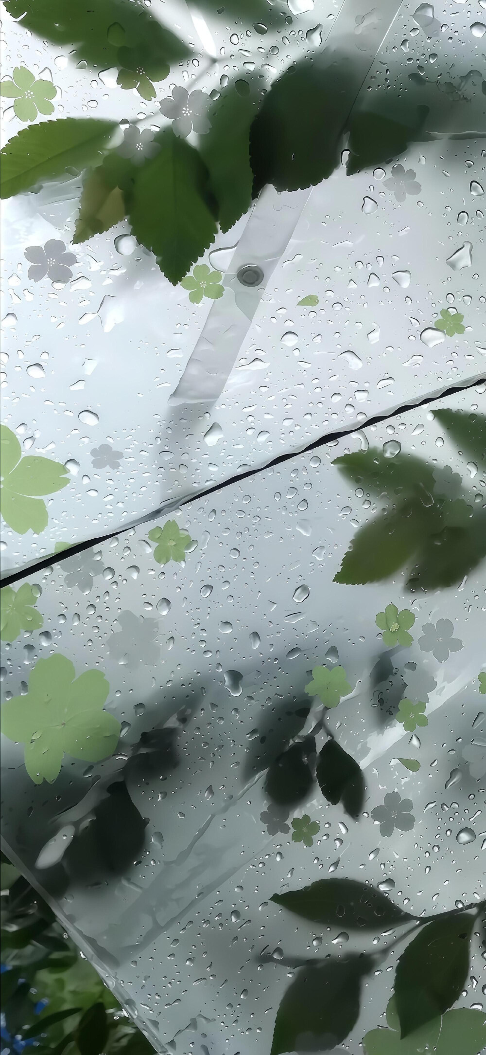 绿色清新质感壁纸，简约清新锁屏聊天背景，来自网络侵删（个人最喜欢图5）