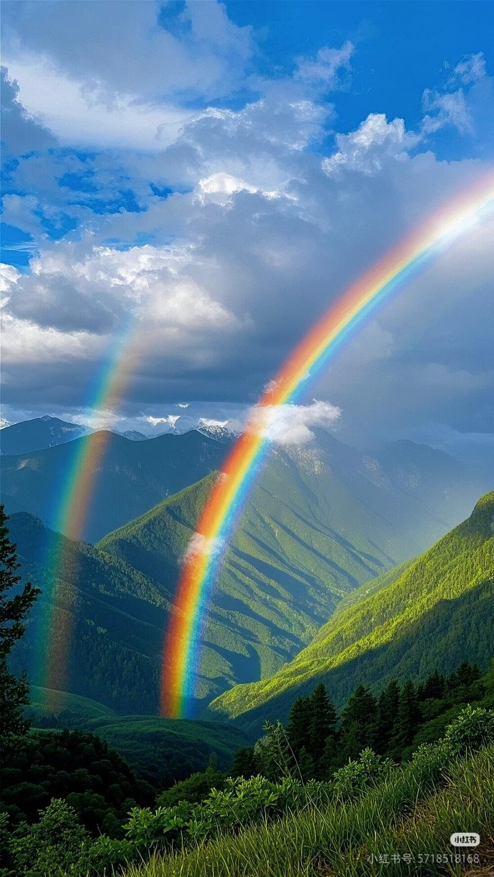 带来好运！！好运彩虹壁纸，遇见彩虹，吃定彩虹，质感风景壁纸，来自网络侵删