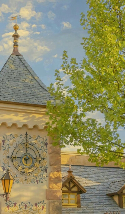 阳光与时光的邂逅…