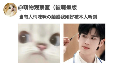 咬牙切齿の活着៸៸◺◿៸៸