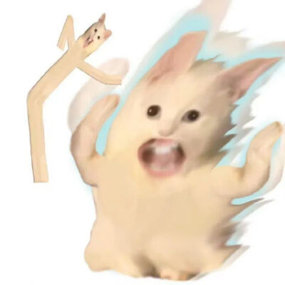 猫猫表情包