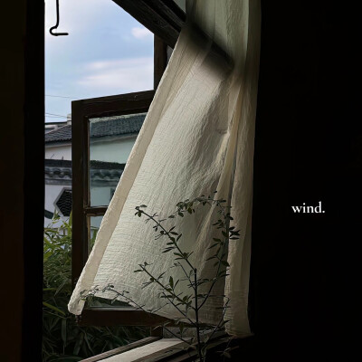 无论是看海还是看雪 我们都没有一起