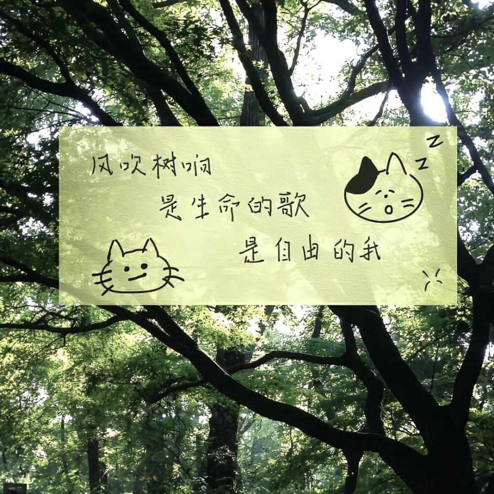 文案·图源微博