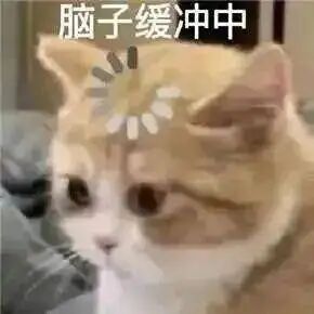 猫猫表情包