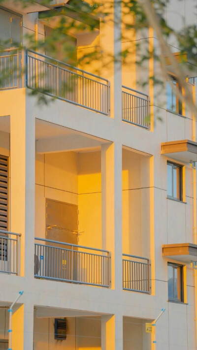 阳光与时光的邂逅…