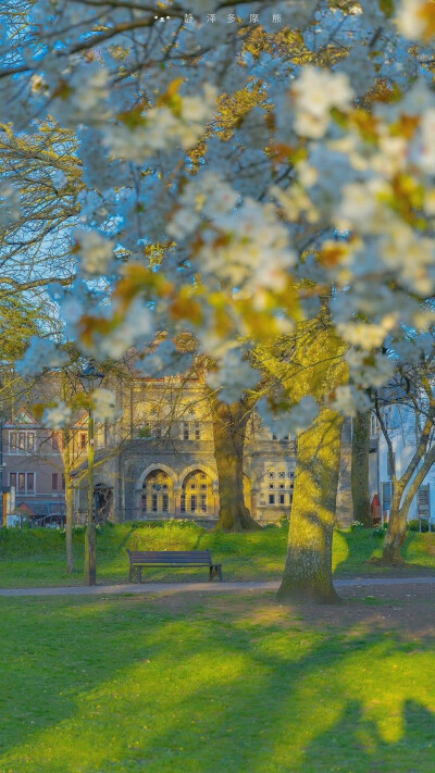 阳光与时光的邂逅…