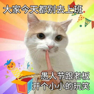 猫猫表情包