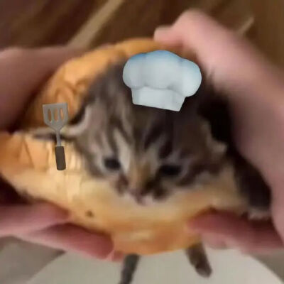 我是不会放弃收集这种图片的