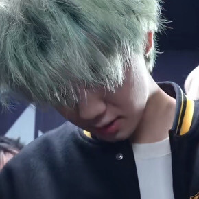 宝宝你是一只绿毛兔