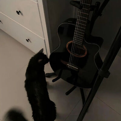 我是不会放弃收集这种图片的