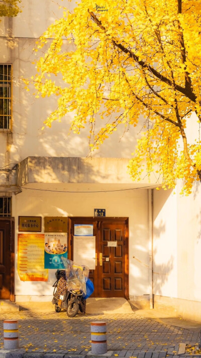 阳光与时光的邂逅…