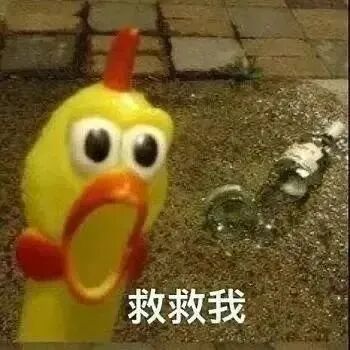 表情包