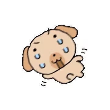 小动物可爱表情包