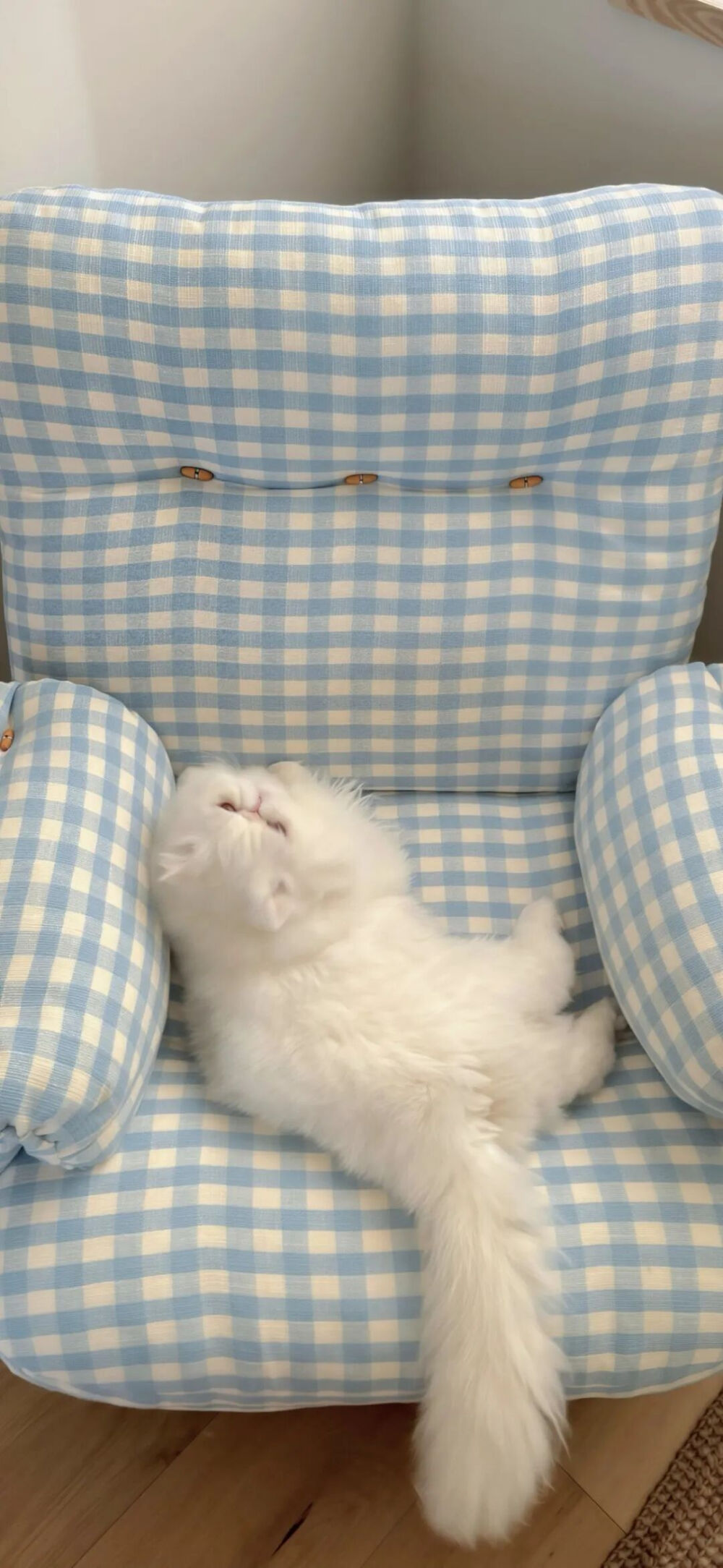 我是不会放弃收集这种图片的