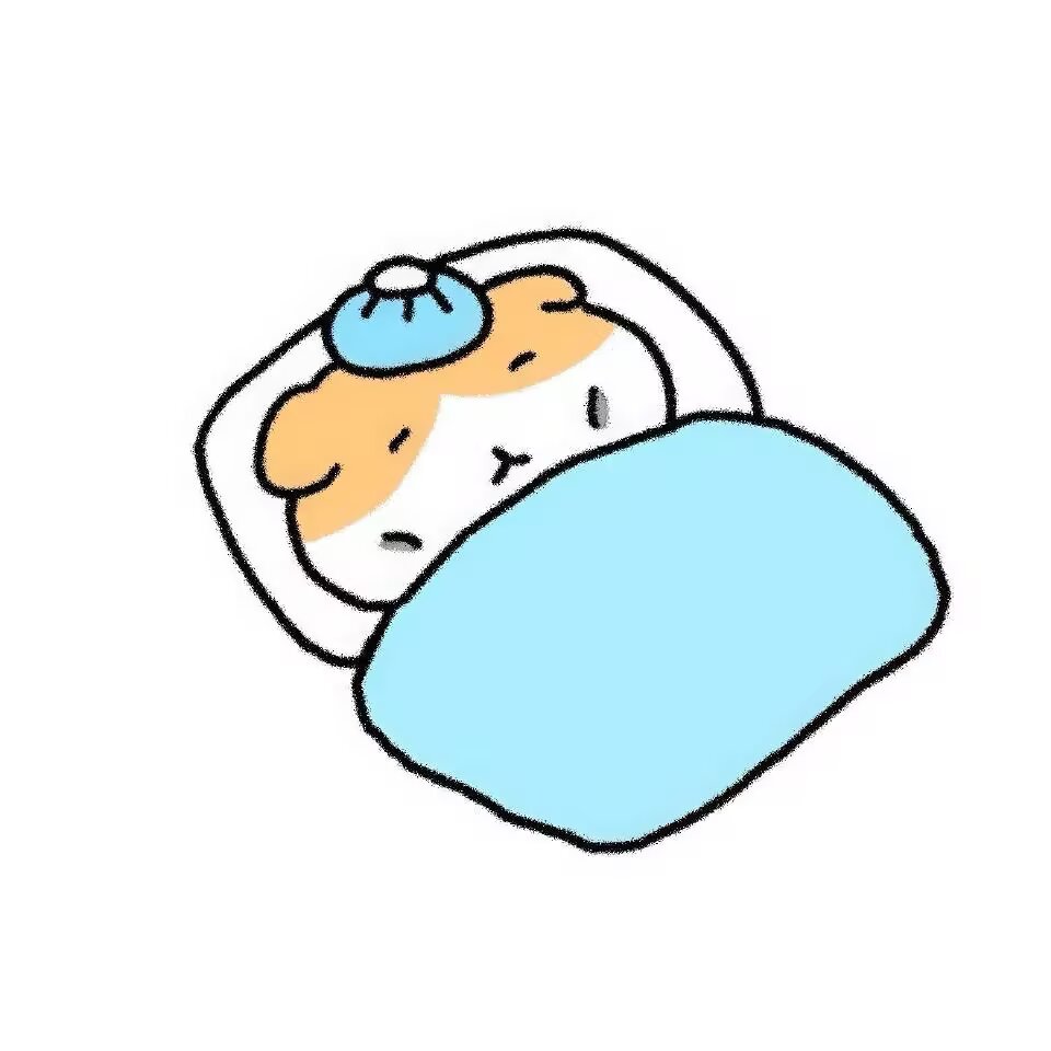 小动物可爱表情包