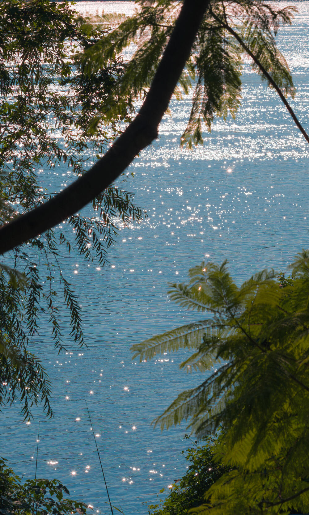 浮光跃金，静影沉璧。