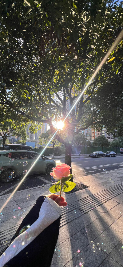 壁纸·图源微博