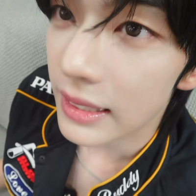 买回来的狗怎么一直叫