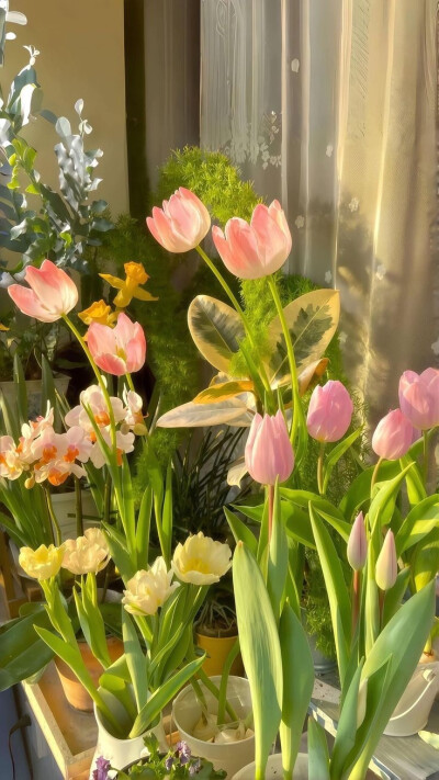 壁纸/聊天背景
一切你想的
都有进展，有进步，收益，有增长
一切好的东西
所有，万能用
而且别人不好你也会好，无论环境 