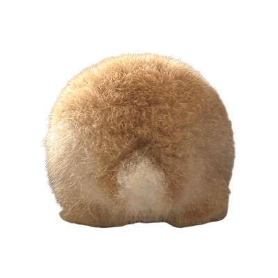 审美积兔 ​​​