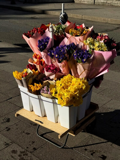 日常
“I just want to be that crazy,
forget about who I am,
I don't wanna be ok be ok no more.”