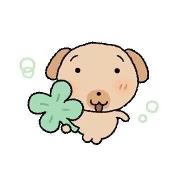 小动物可爱表情包