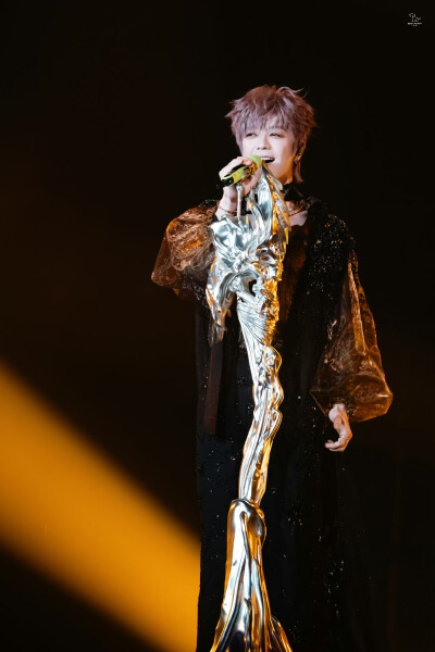 王栎鑫250726 X 长沙演唱会