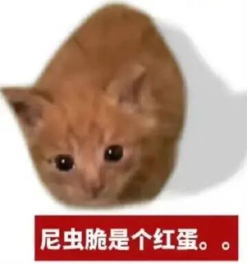 猫猫表情包