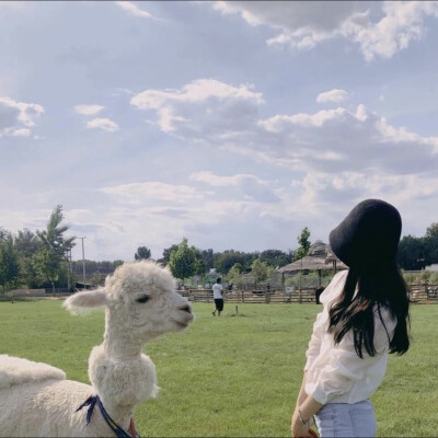 刘诗诗不明显头像