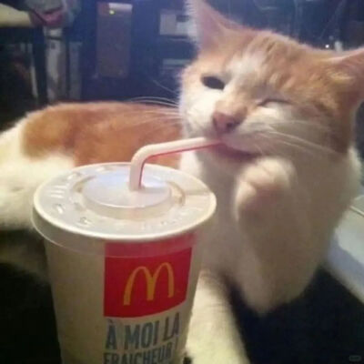 我是不会放弃收集这种图片的