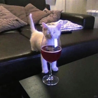 我是不会放弃收集这种图片的