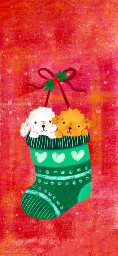 可爱的
图片来自网络，侵删