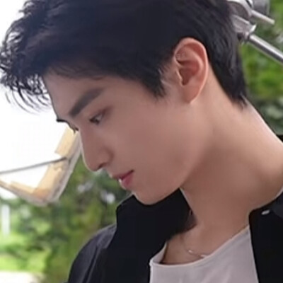 快归棹吧我真的好想你们