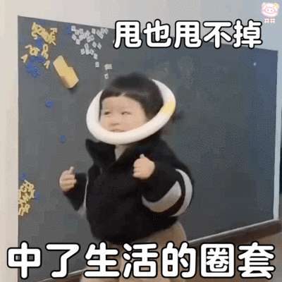 萌娃丸子妹表情包动图
可爱的表情包