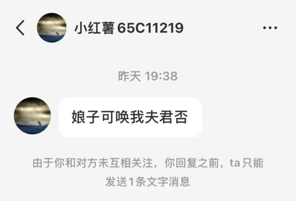 我需要陪伴我需要陪伴我需要陪伴