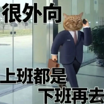 猫猫表情包