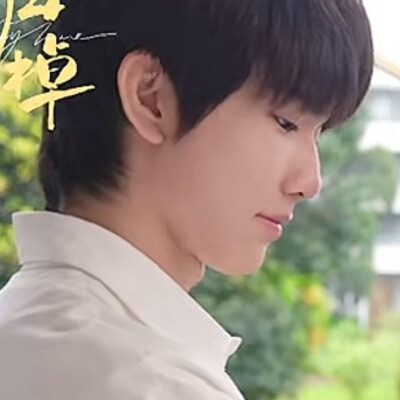 快归棹吧我真的好想你们