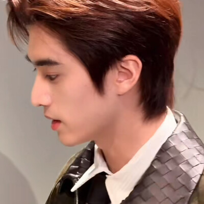 去北极忘记你可不可以