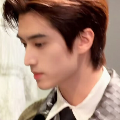 去北极忘记你可不可以