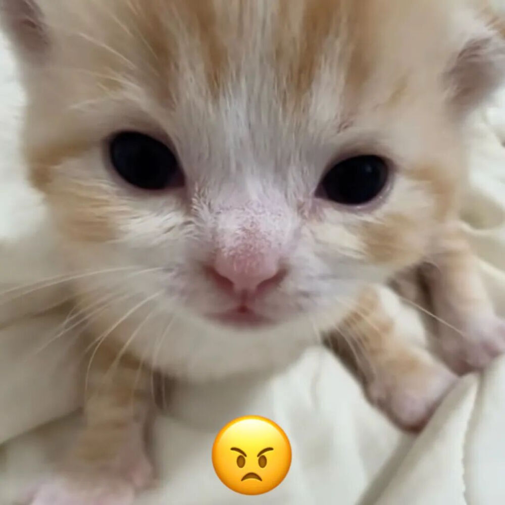 被虐还是太舒服了