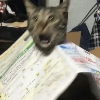 我是不会放弃收集这种图片的